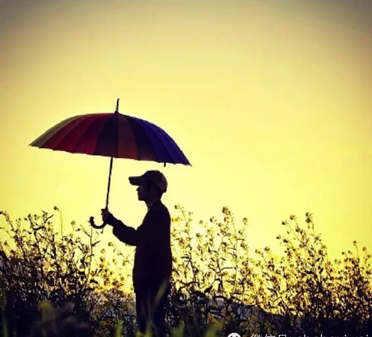 雨伞什么成语_雨伞简笔画