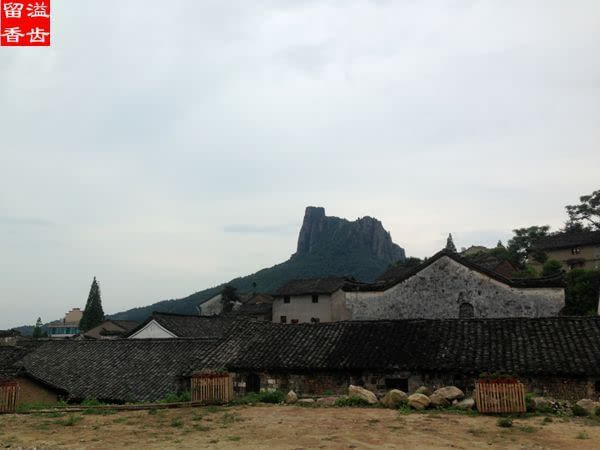 [端午]游浙江浦江登高村品田园餐桌吃端午粽