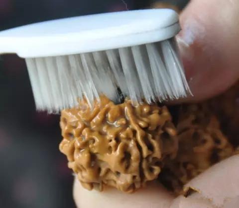 图片版权归原作者所有