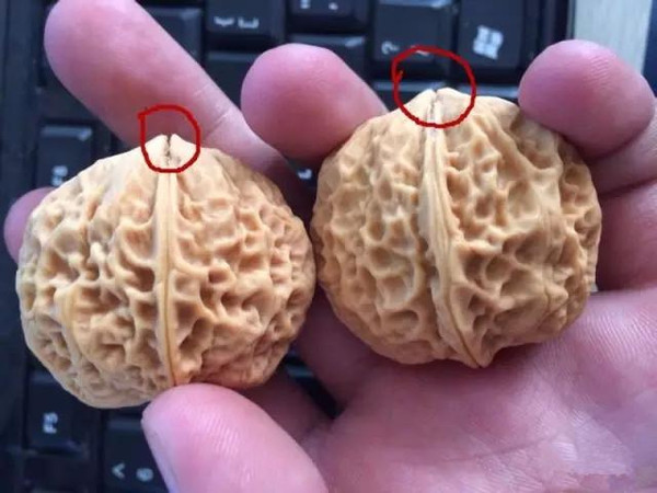 图片版权归原作者所有