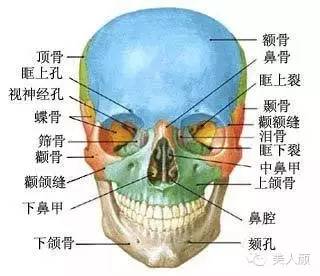 咬肌是附着于上颌骨颧突,颧骨弓和下颌角上的肌肉.