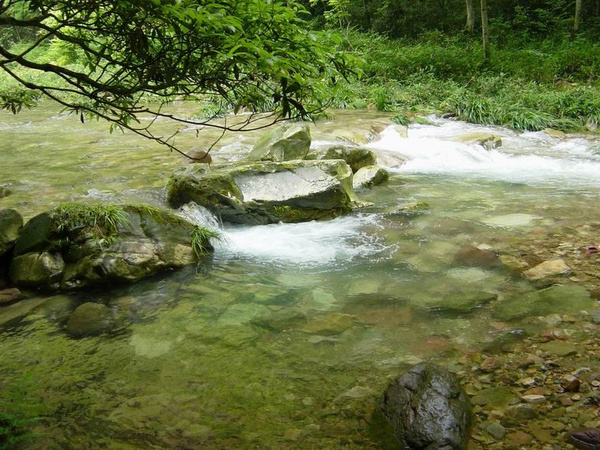 长沙到张家界旅游团需要多少钱