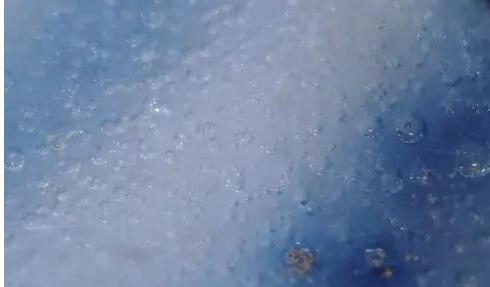 图片版权归原作者所有