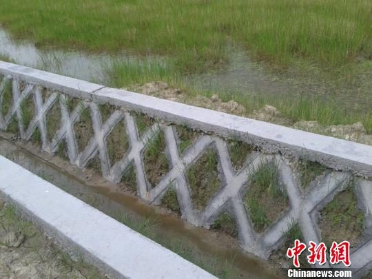 长沙县金井镇涧山村的水渠壁上砌的是卡扣生