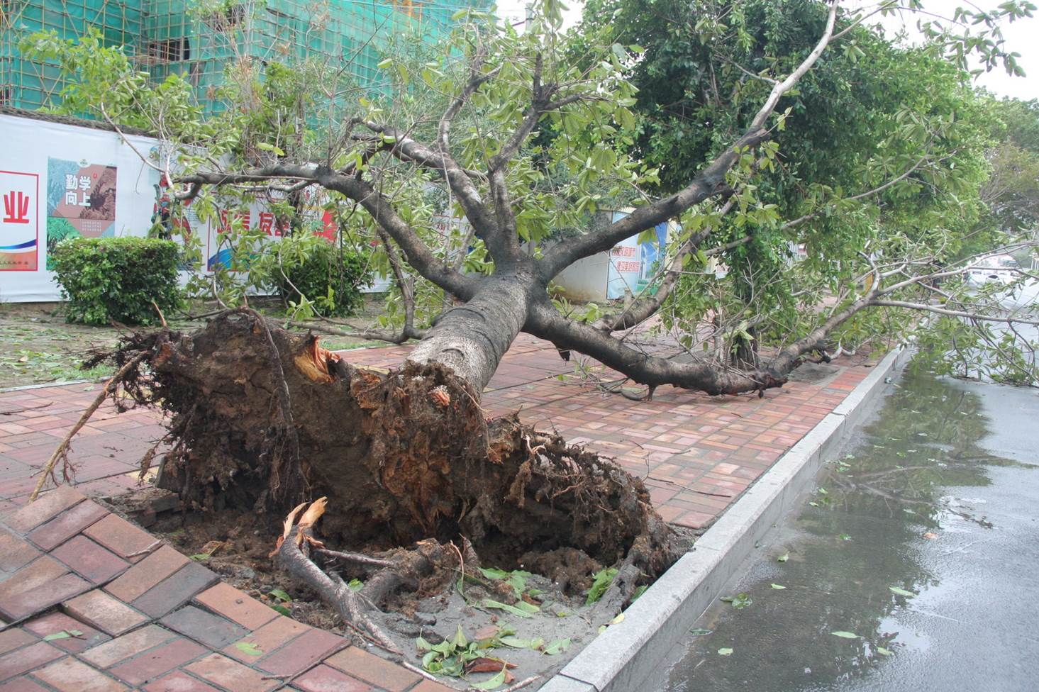 海南部分地区发生台风灾害 万宁、定安9万人受