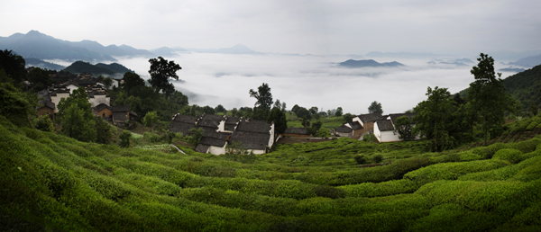 休宁县金龙山出现云海美景