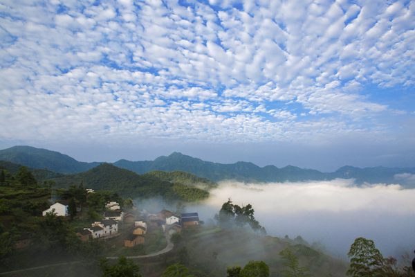 休宁县金龙山出现云海美景