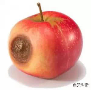 坏掉的水果可以吃吗?