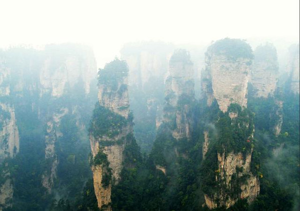 游青城山,心中的第八颗星星