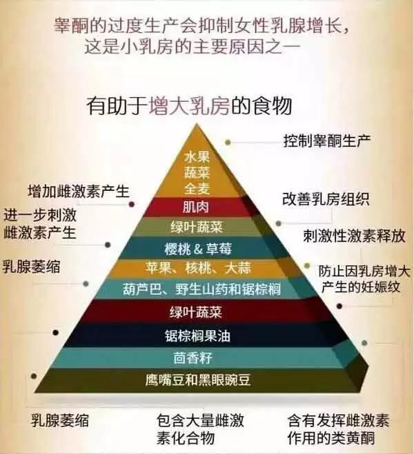 图解 ▎乳房大小与饮食