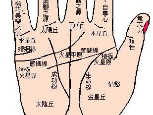 从手相怎么看生命线