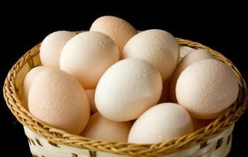 患荨麻疹能吃鸡蛋吗?