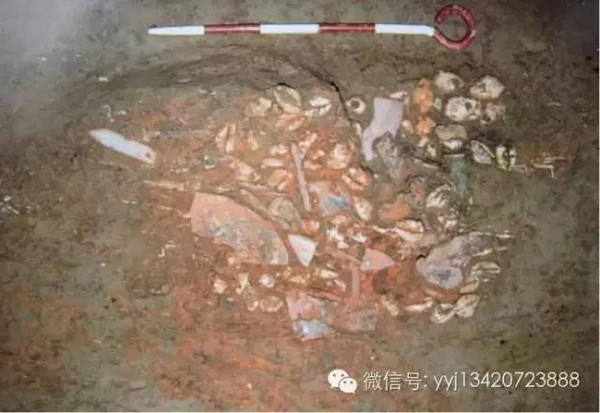 图片版权归原作者所有