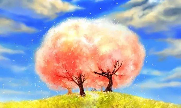 【双语美文】席慕容:一棵开花的树