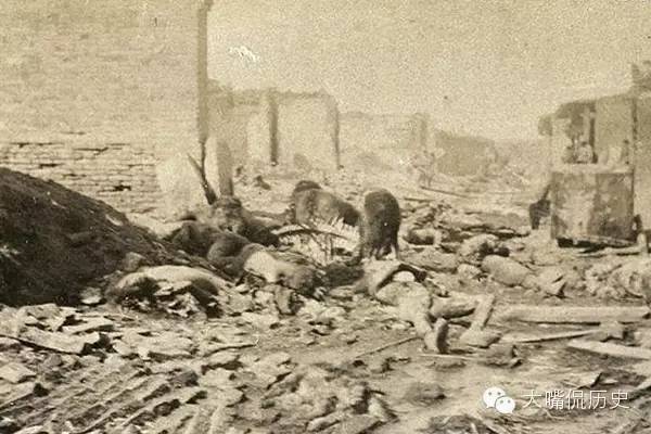 勿忘历史:来自120年前的中日甲午战争老照片