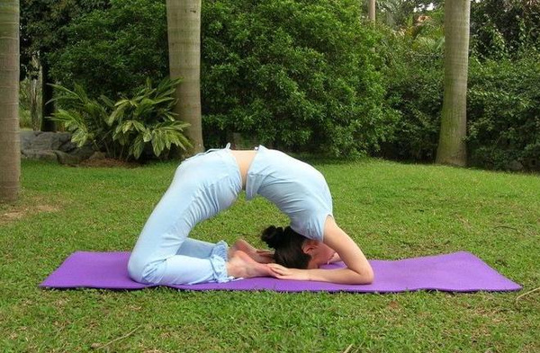 几个月可以训练拉坐 mp20381614_1435390170012_2_th_fv23.jpeg