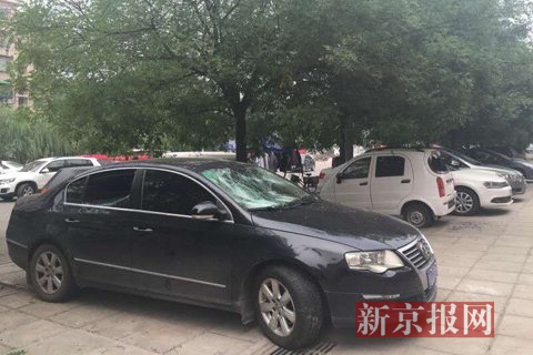 新京报记者 左燕燕 摄