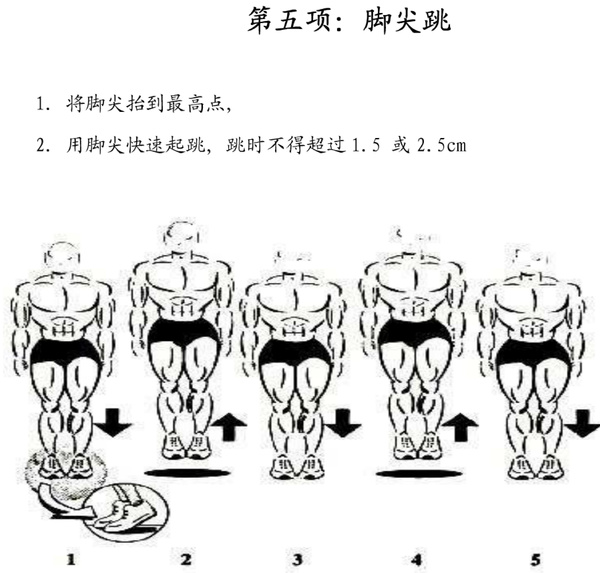 【弹跳力训练】篮球纵跳计划图文教学