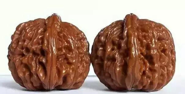 图片版权归原作者所有