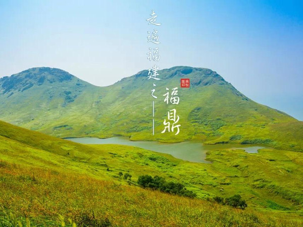 走遍福建,吃遍福鼎,行在太姥山【深氧界的夏天