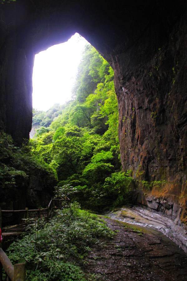 寂静的避暑胜地——恩施坪坝营【深氧界的夏天】