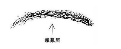 所谓交加眉,是在眉的中间或尾部另叉开了一条眉毛,有点像个「叉」子