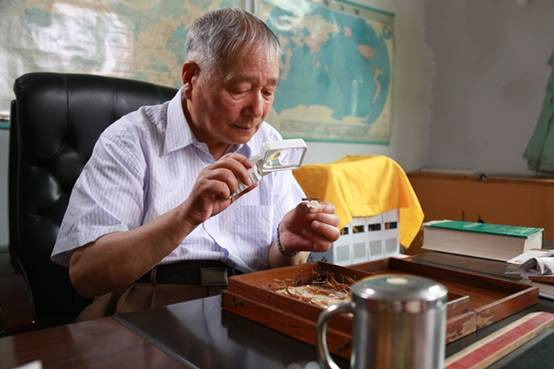 江海大地走出的昆虫学家:印象初