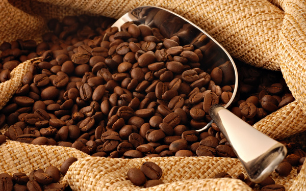 上海咖啡豆进口报关公司