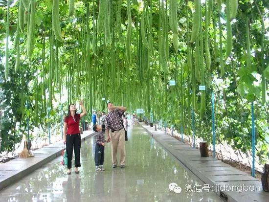 唐山周边适合带孩子去游玩的地方大盘点