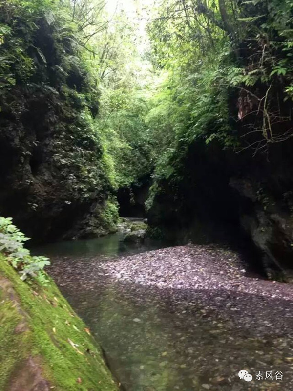 湖北宜昌远安西河大峡谷之【深氧界的夏天】