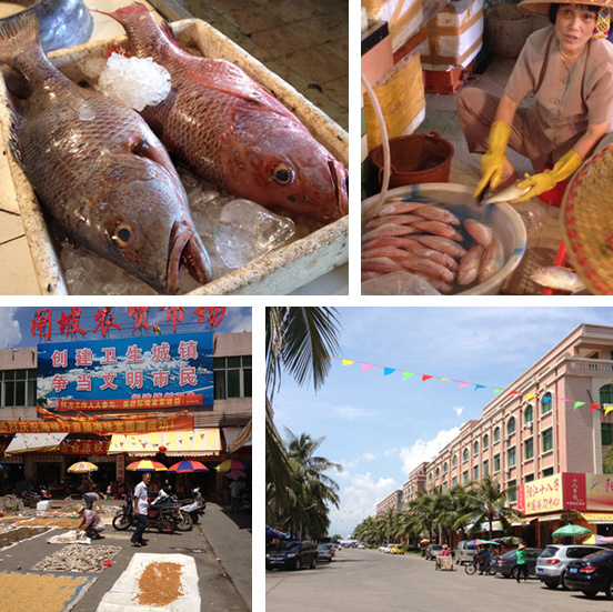 让旅行更美好,去阳江逐浪吃海鲜大餐