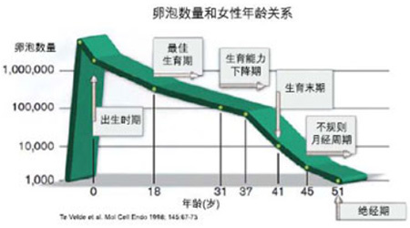 抗穆勒氏管激素对不孕不育医院的7大价值