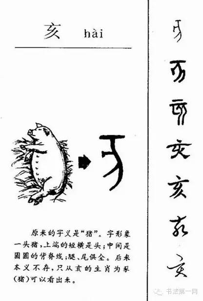 6000年的成长轨迹,汉字演变集萃。(上)