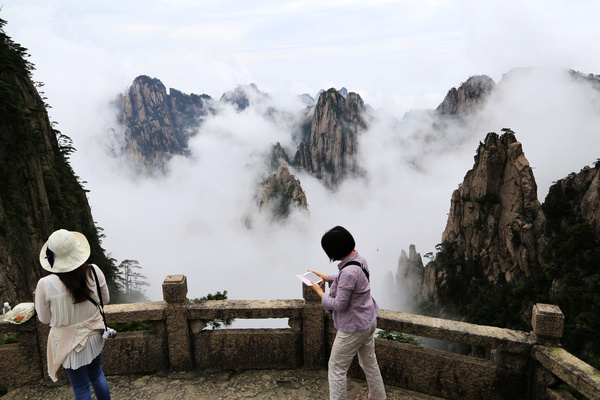 黄山西海景区:云海在峰石松间舞动