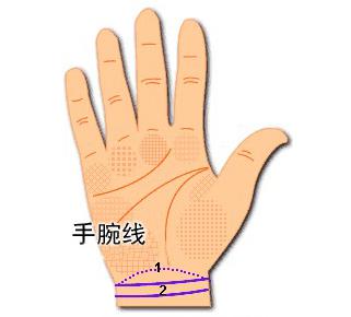 通过手腕线看你的财富与健康