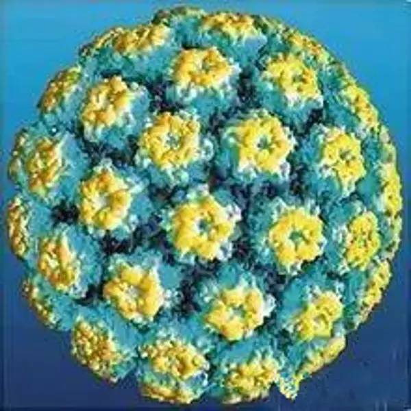 侯马安祺儿|女性HPV、TCT检查大揭秘