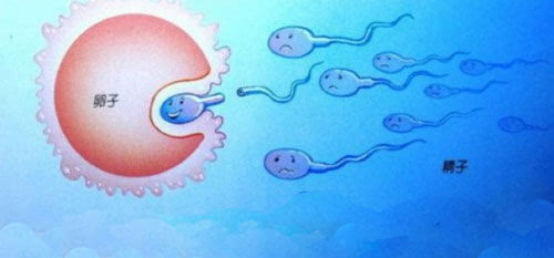精子在女性体内存活时间是多长
