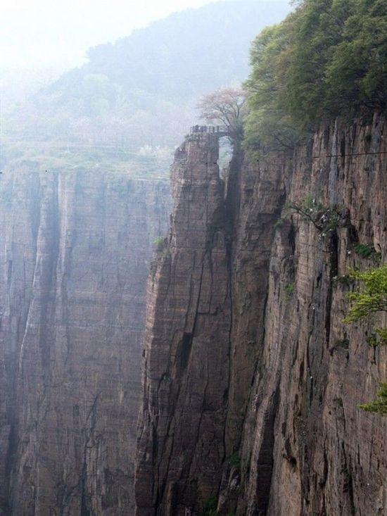 ΣU(xin)Ĵf,涼Ǒͱ