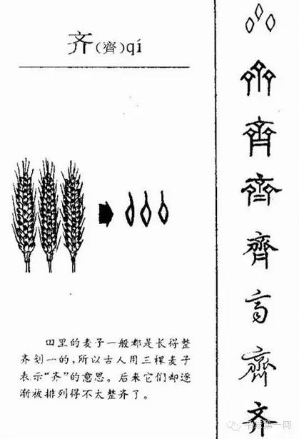 6000年的成长轨迹,汉字演变集萃.(中)