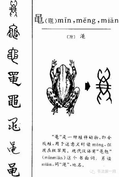 6000年的成长轨迹汉字演变集萃中