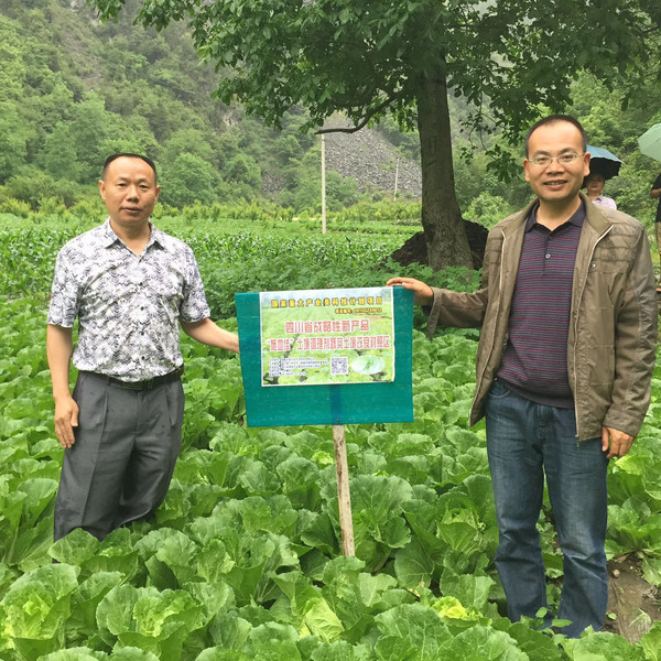 成都华宏生物一行前往四川理县视察蔬菜试验示范地