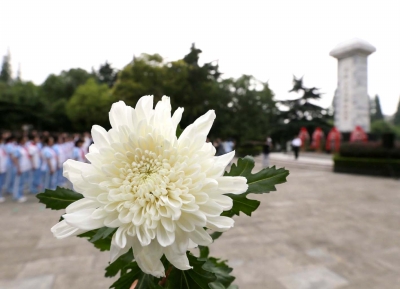 向革命先烈献花.