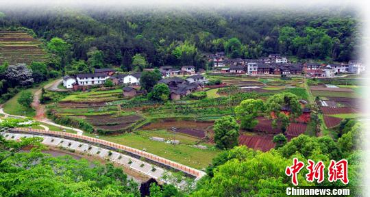 图为风光秀丽,美丽宜居的长汀县南坑村. 袁鸿梅 摄