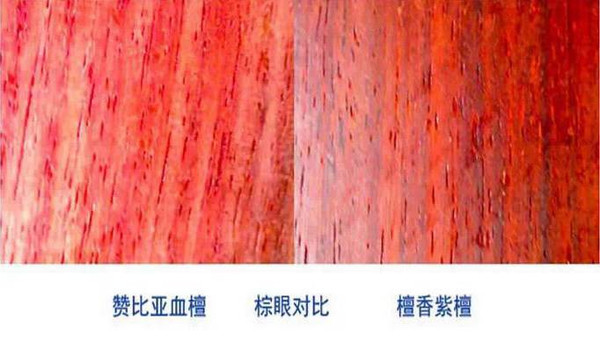 区分赞比亚血檀和印度小叶紫檀图片