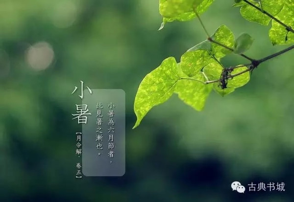 《小暑六月节》