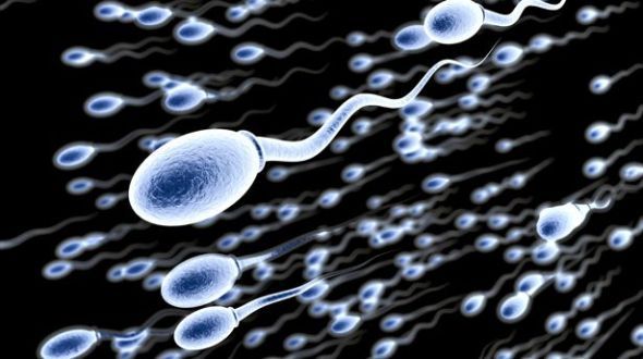 卵泡未成熟会不会怀孕,精子能存活多久