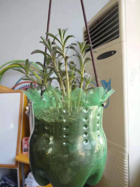 用塑料瓶等废品怎么做花瓶或花盆才好看呢