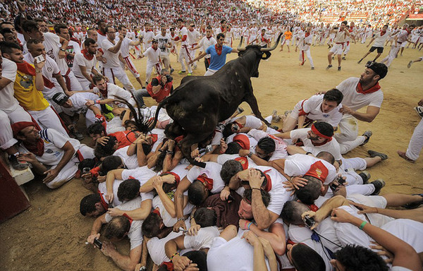 比牛还疯狂的西班牙奔牛节