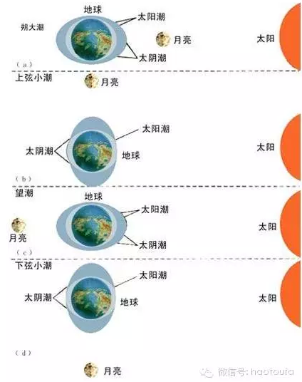 月夜会加速头发生长?按照自然规律养生,比吃什