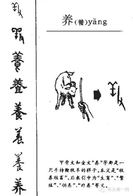 6000年的成长轨迹,汉字演变集萃.(下)